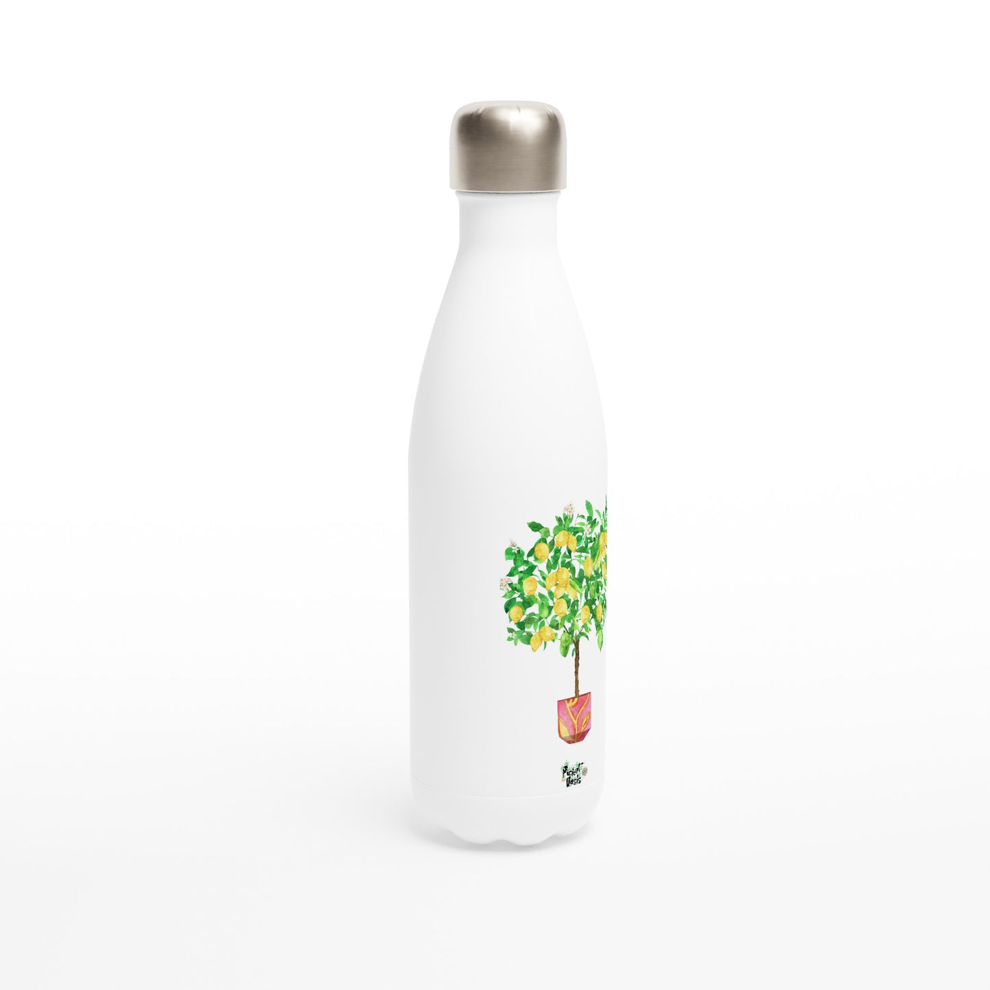 Lemontree 17oz Stainless Steel Water Bottle